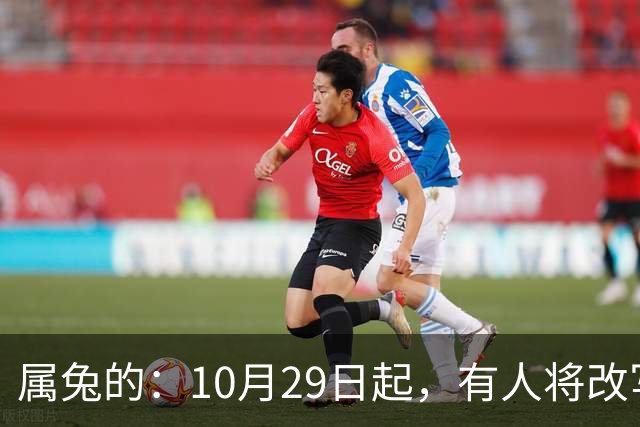 属兔的：10月29日起，有人将改写你的人生轨迹，从此一切都不同了
