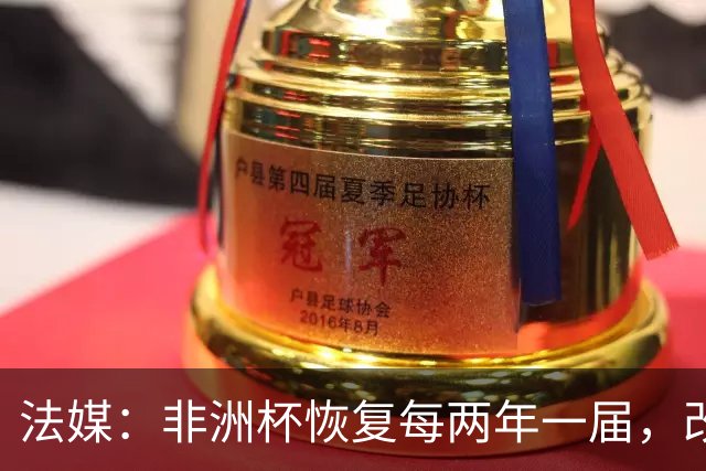 法媒：非洲杯恢复每两年一届，改制计划因收入问题搁浅